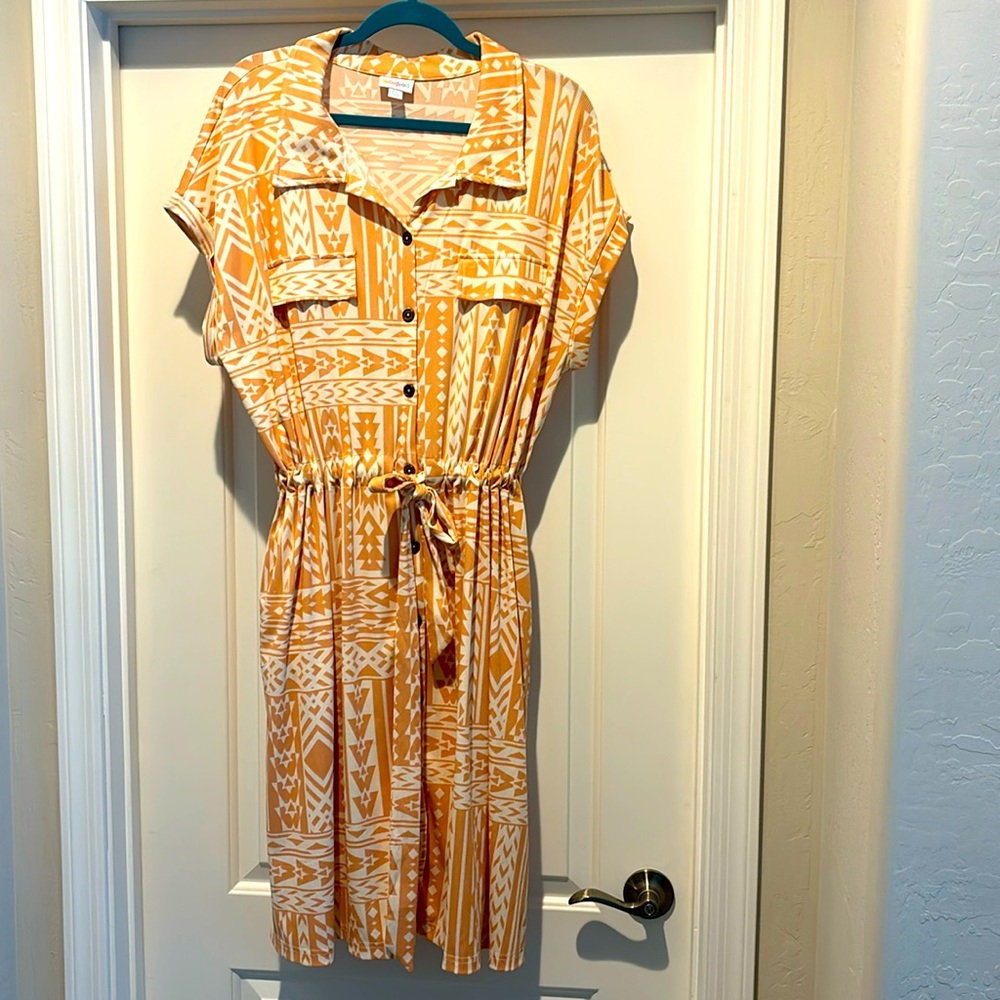 LulaRoe 2x shirt waist dress
